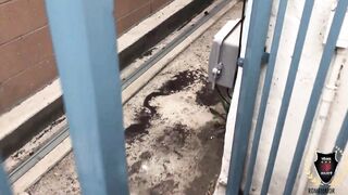 No Cops! Rome Major Gives Bodacious Baddie Andi Ray A Intercourse Penalty!